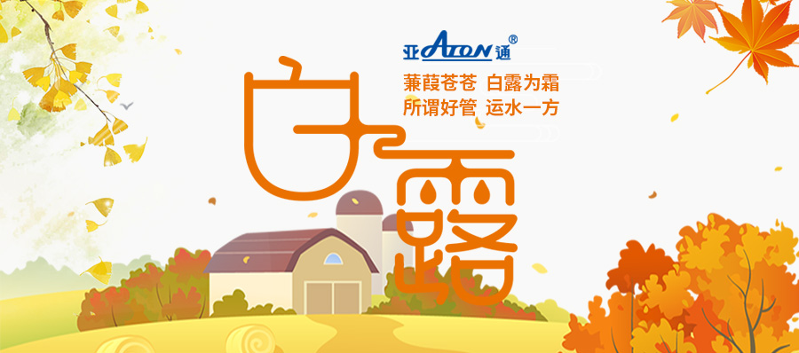 白露 | 蒹葭蒼蒼 白露為霜