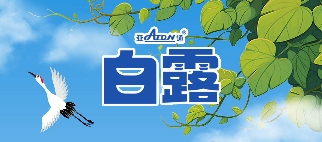 白露 | 日漸轉(zhuǎn)涼，寒生凝露