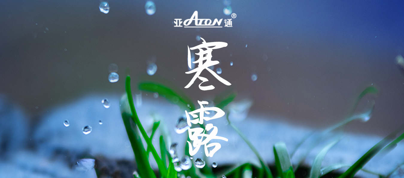 寒露 | 疏枝凝霜露，千山頌金秋