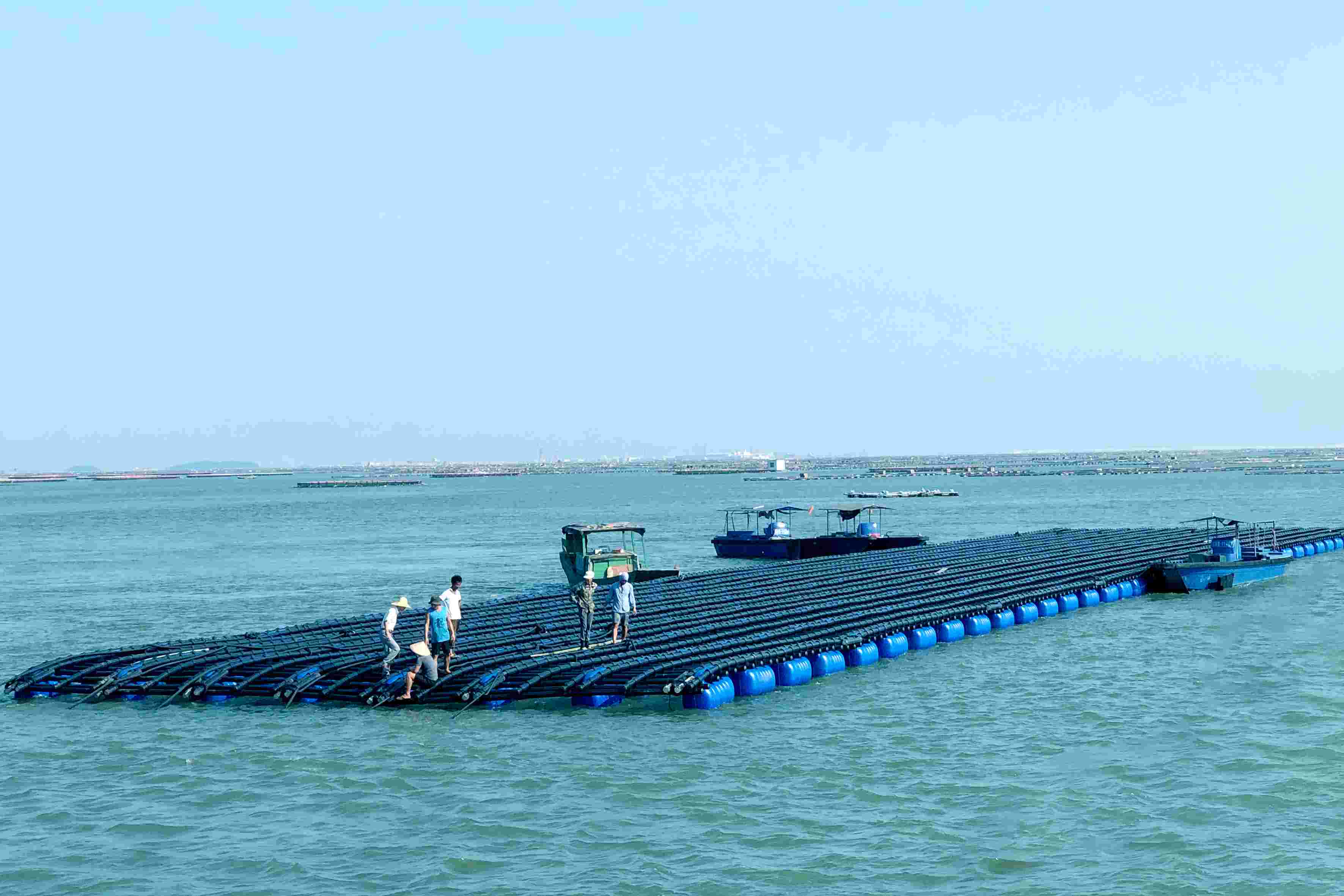 亞通海洋養(yǎng)殖裝備設(shè)施系統(tǒng)-深?？癸L(fēng)浪蠔排(第一代)