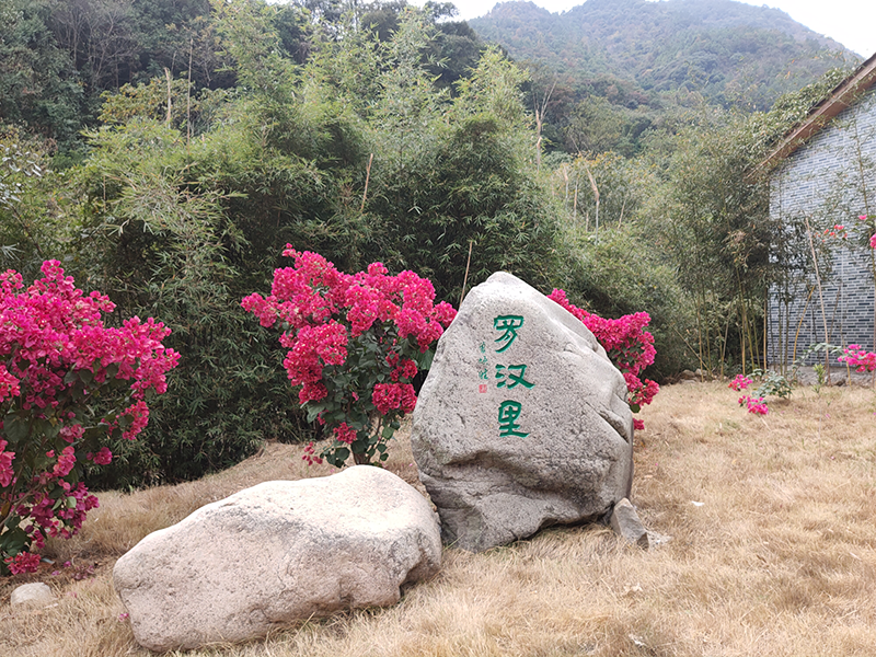 1596101887764975.png 圖片36.png