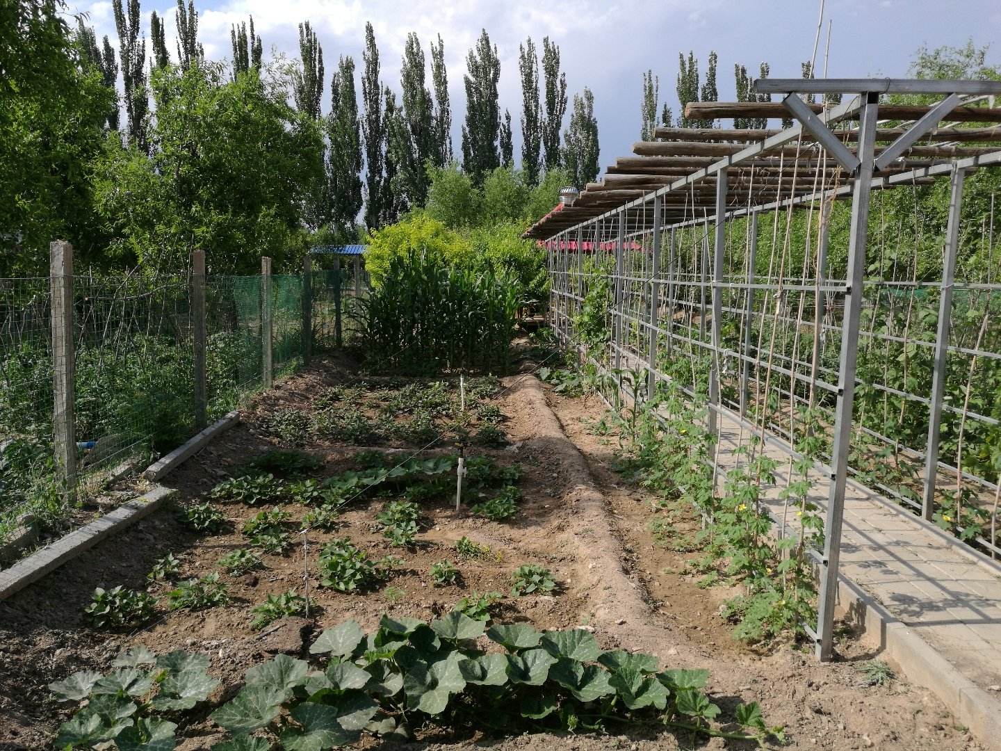 1598251923103758.jpg 寧夏黃羊灘節(jié)水灌溉工程.jpg