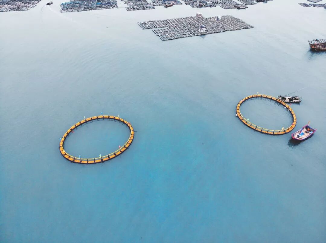 1598351236546933.jpg QQ圖片20200825181750.jpg