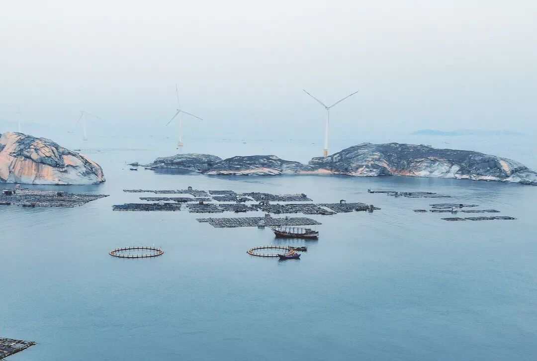 1598351259592676.jpg QQ圖片20200825181804.jpg