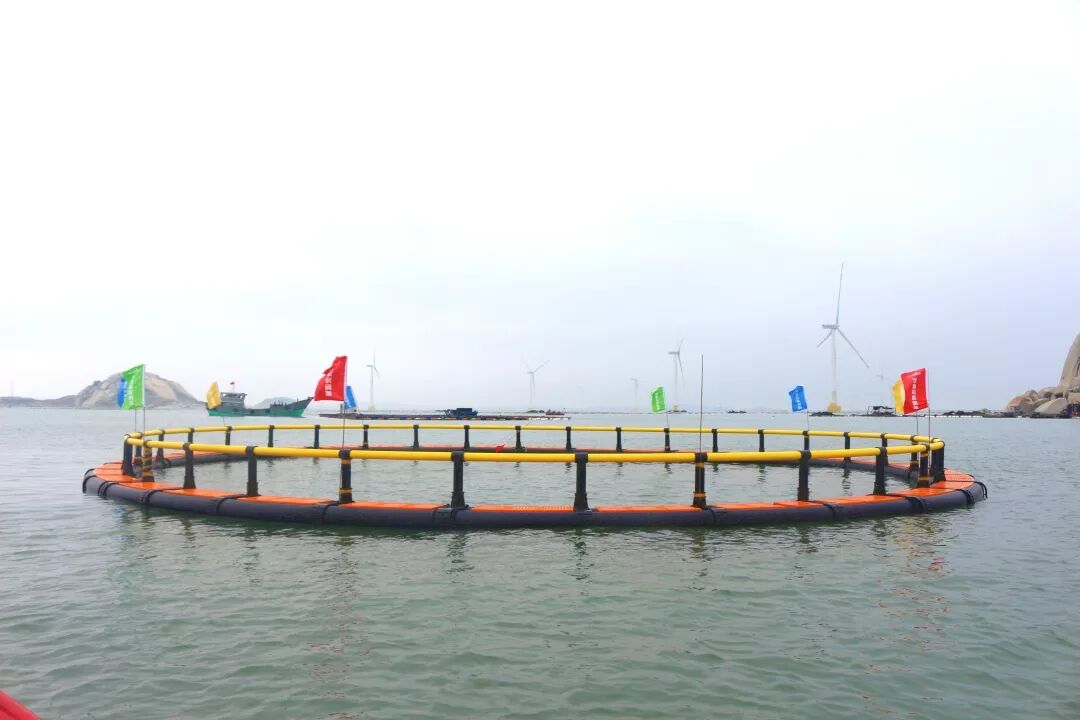 1598351363228455.jpg QQ圖片20200825182410.jpg