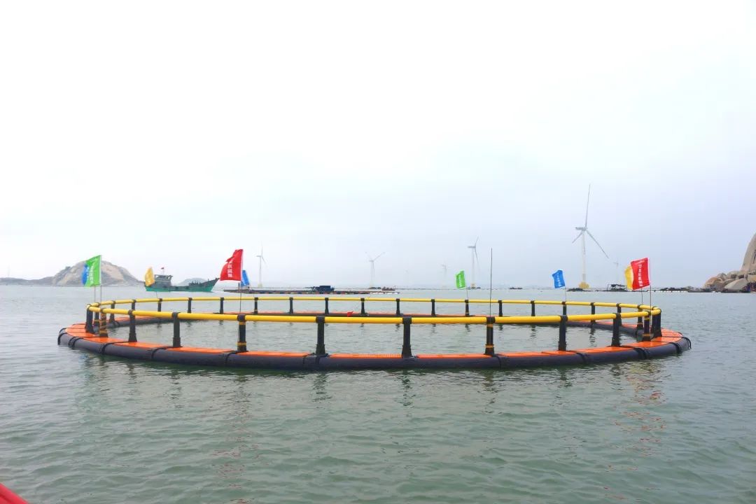 1664003715113578.jpg 2.jpg