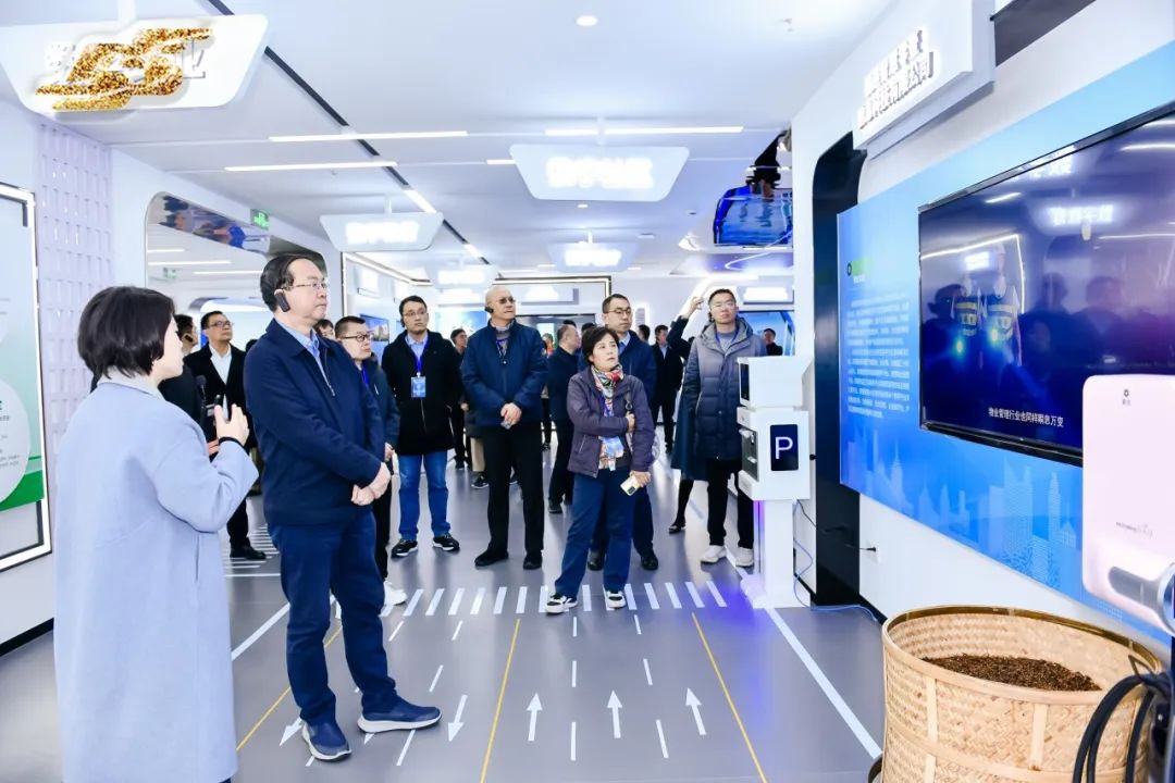 1703123739139595.jpg 11.jpg