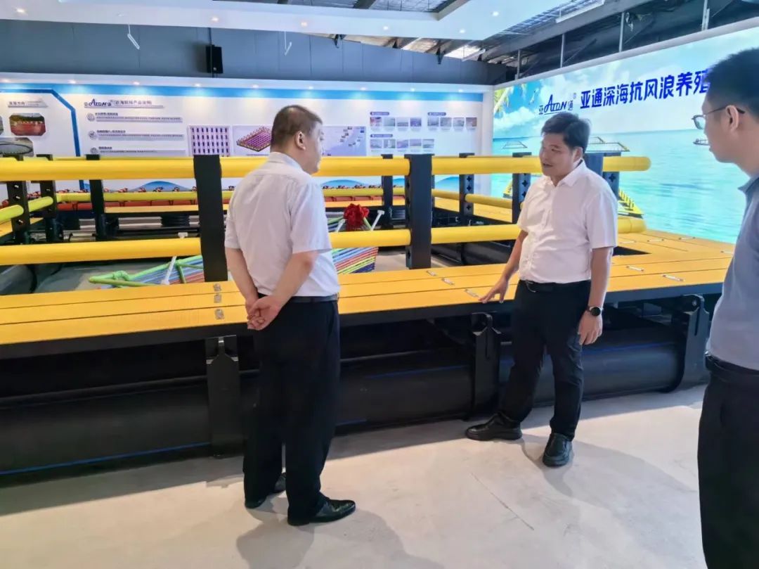 1715589603448692.jpg 6.jpg