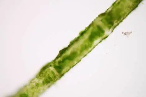 1723626786745783.jpg 4.jpg