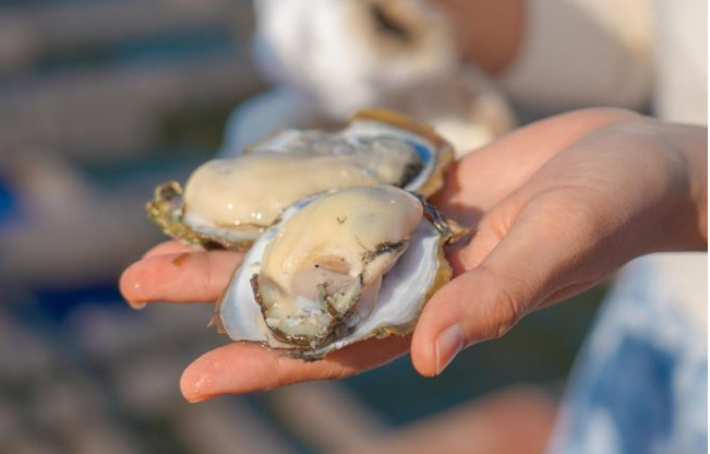 1750820411590396.png 4.png