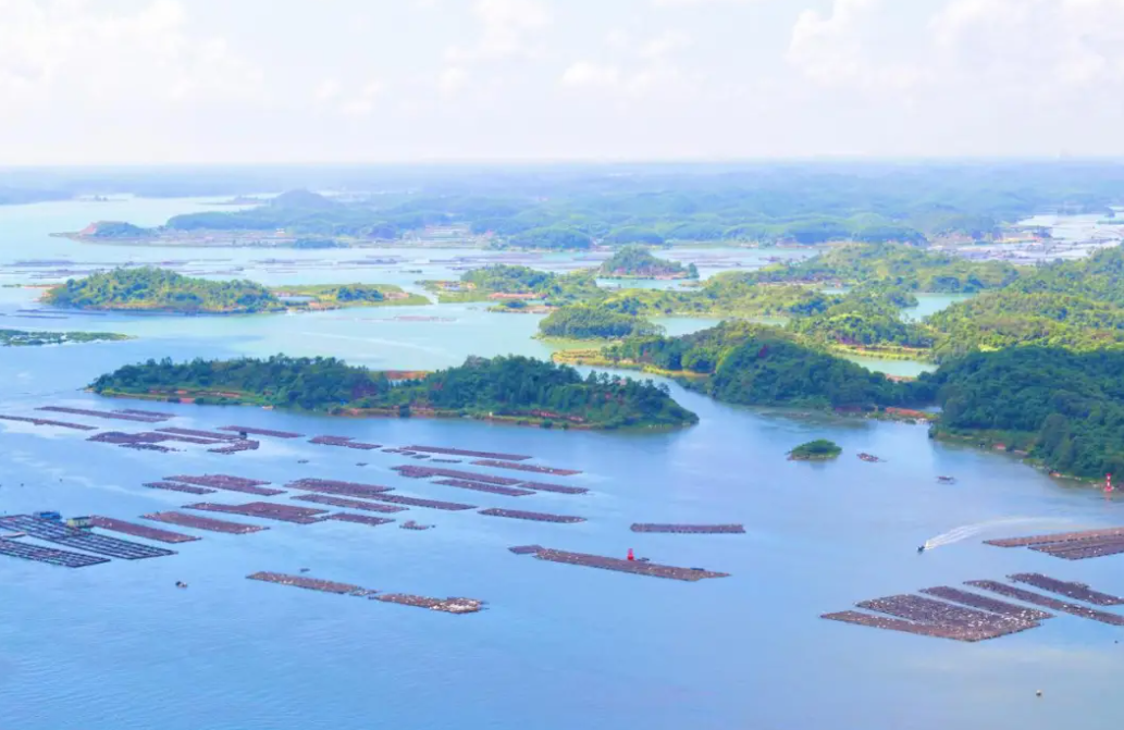 1750820439335647.png 9.png