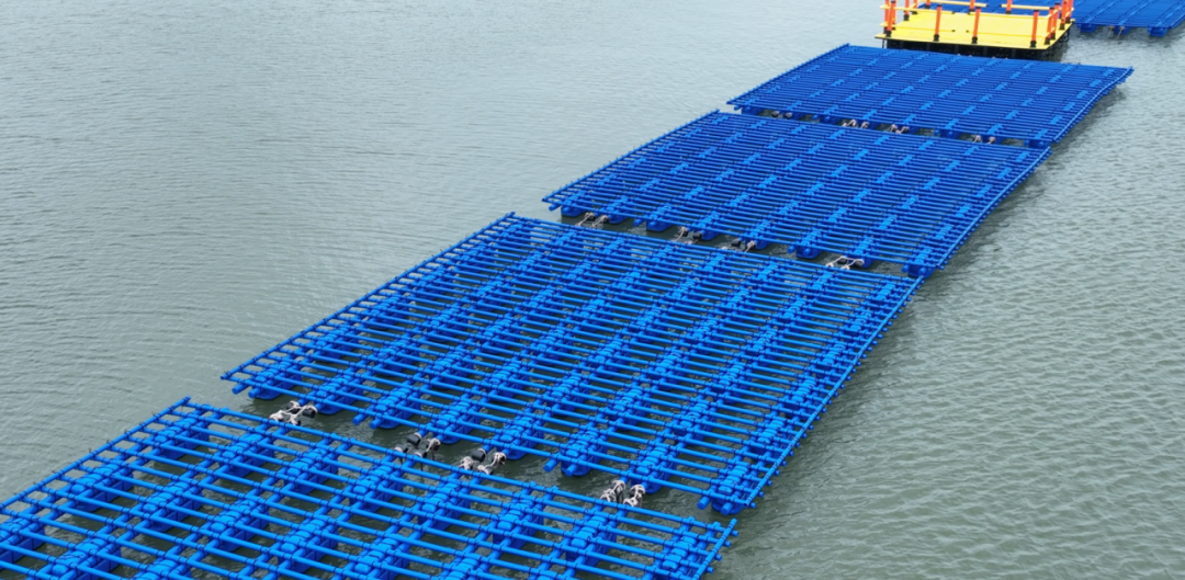 1753773480485828.png 5.png