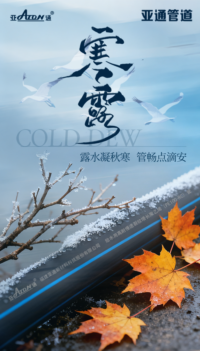 1760430848157496.png 寒露.png