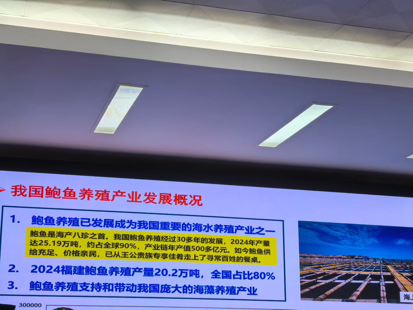 1764299904985255.jpg 2.jpg