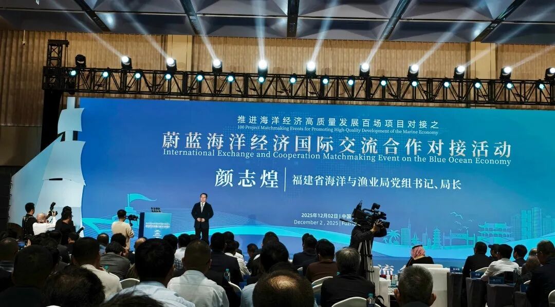 1765347125302083.jpg 4.jpg